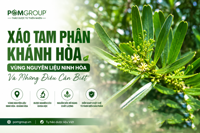 xáo tam phân khánh hòa