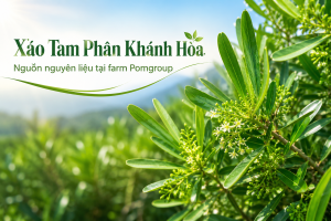 Xáo tam phân Khánh Hòa Pomgroup