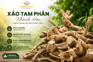 Rễ xáo tam phân